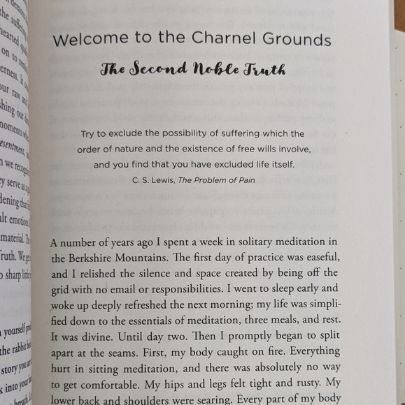 ♻️ SOLDTea And Cake With Demons Paperback Buddhism - Picture 7 of 10